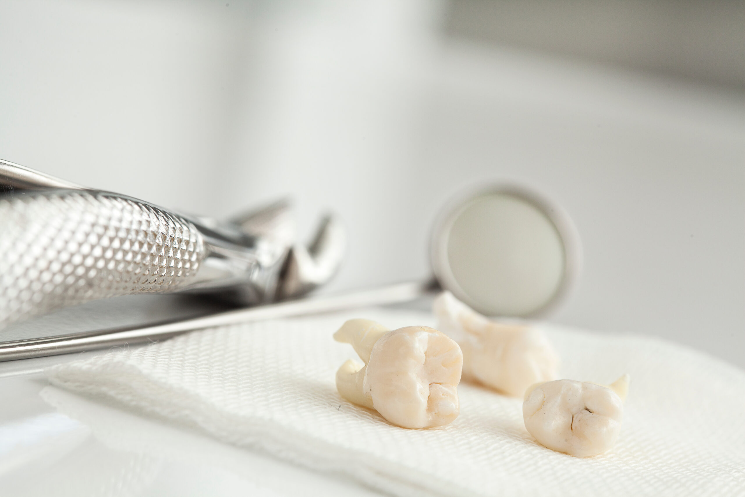 Extracted Teeth on a Table.